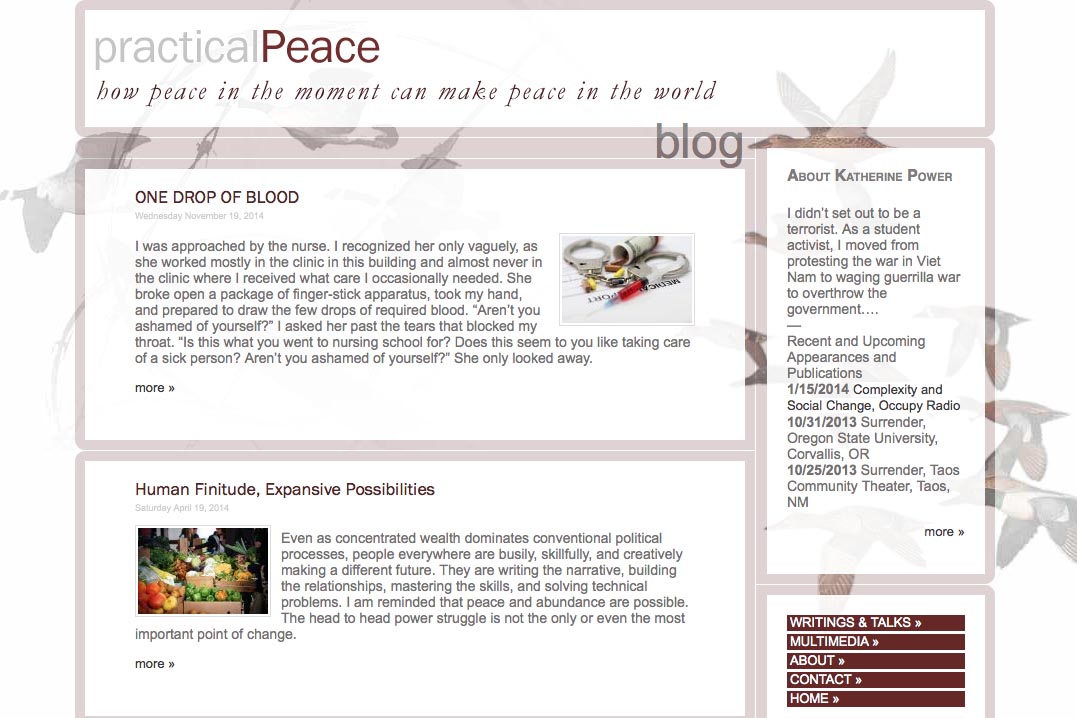 web design for an activist and blogger