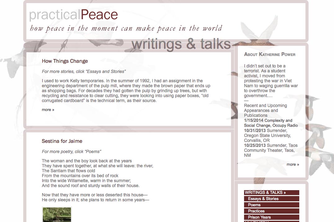 web design for an activist and blogger - writings and talks page