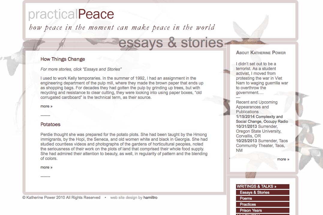 web design for an activist and blogger - essays and stories page