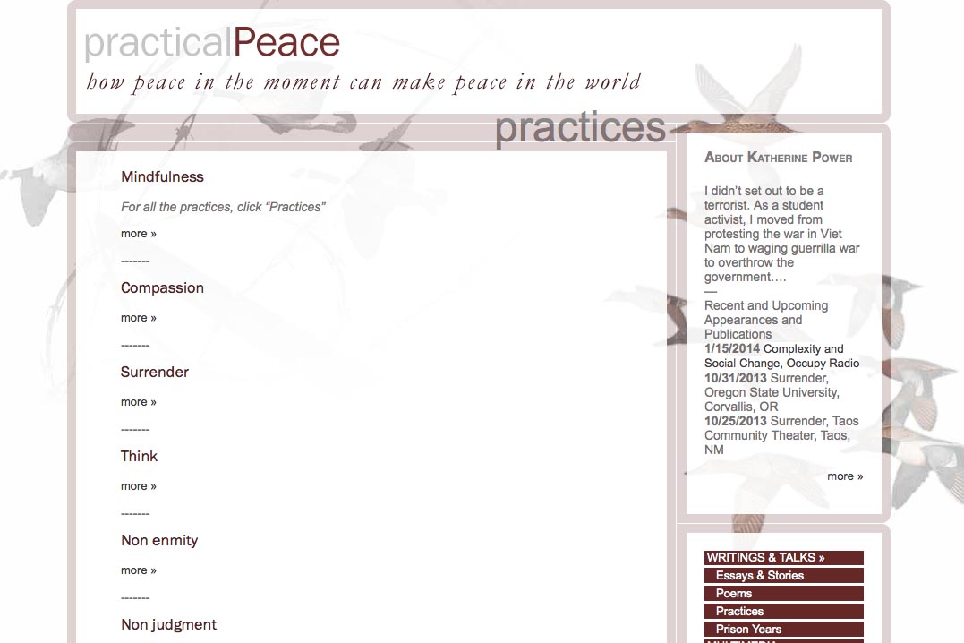 web design for an activist and blogger - practices page