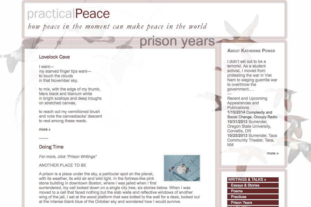 web design for an activist and blogger - prison page