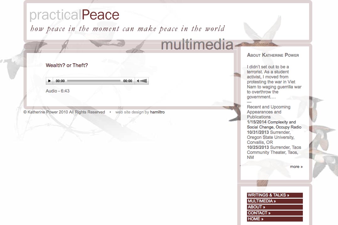 web design for an activist and blogger - multi-media page