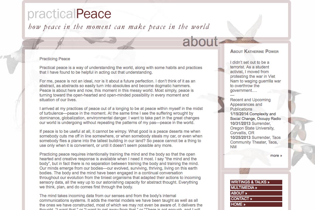 web design for an activist and blogger - about page