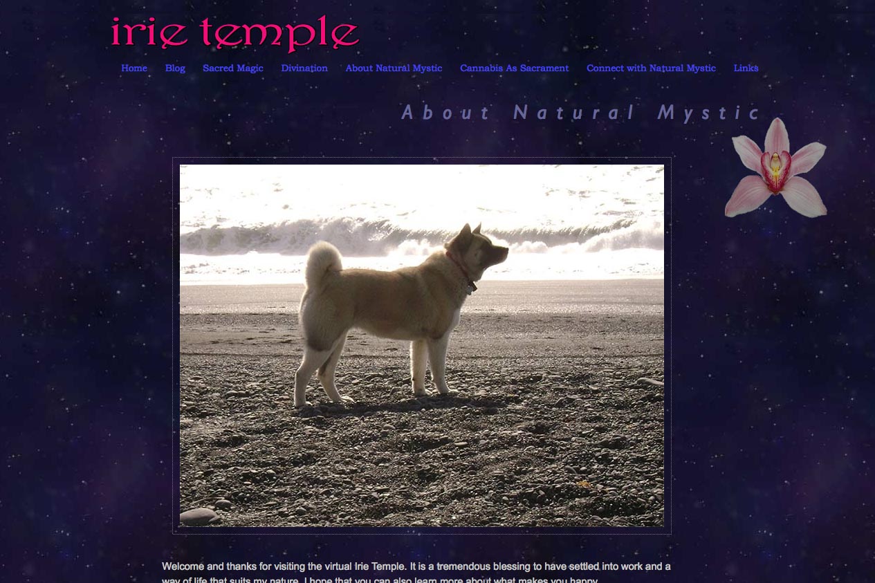 web design for a tarot reader and mystic - about page