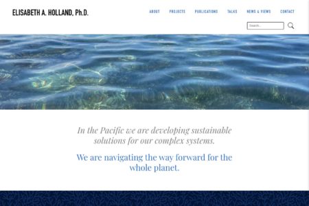 Bespoke website design for an environmental scientist - Elisabeth Holland.