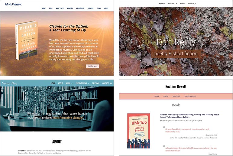 examples of website designs for authors and writers: website design for the author of a new book, website design for a poet, website design for an economic sociologist academic and author, and website design for a feminist academic and author. All the websites are artistically-designed.