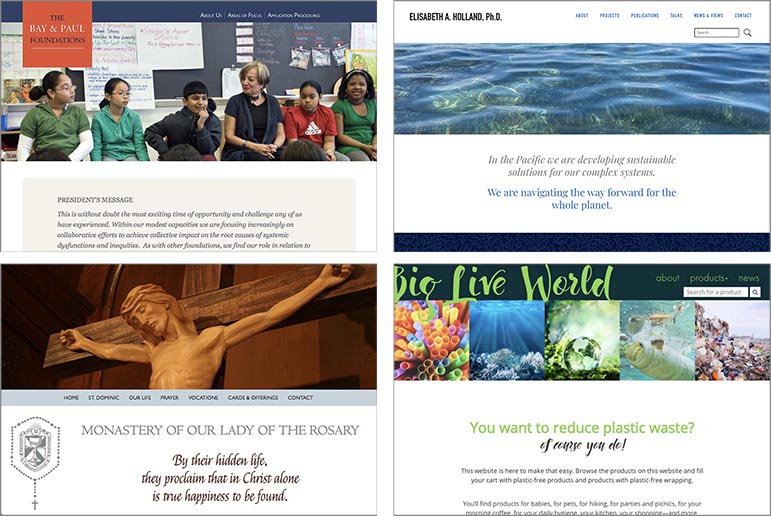 examples of website designs for non-profit organizations: website design for a non-profit foundation, website design for an environmental scientist, website design for a monastery, website design for an non-profit initiative to reduce plastic waste. All the websites are custom-designed.